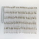 100 Pack 51mm Safety Pins